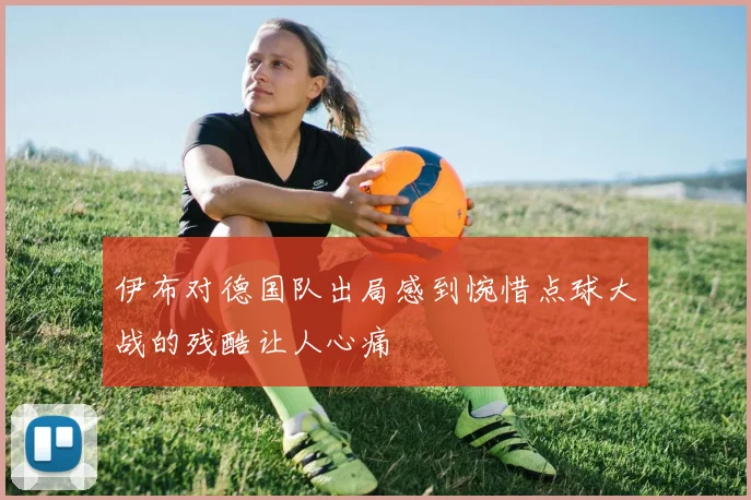 伊布对德国队出局感到惋惜点球大战的残酷让人心痛